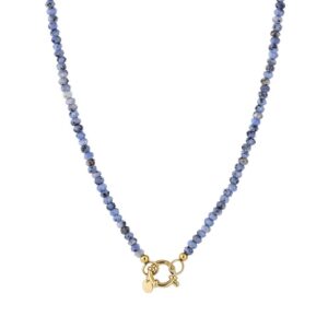 Ketting Pien
