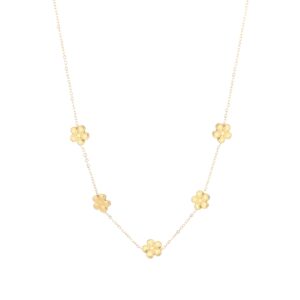Ketting Sara